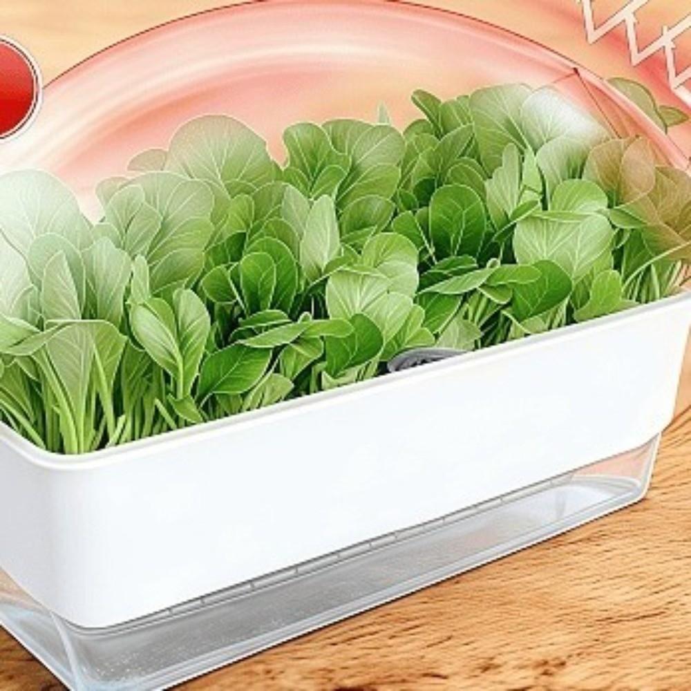 Self Watering Seedling Tray Plastic Growing Box Practical Plant Nursery Pot Vegetable Gardening