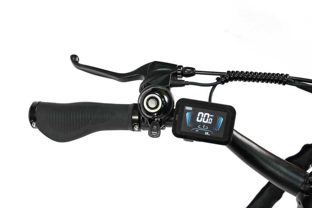 TTGO C3 SE Elektrofahrrad Erwachsene - 250W Hocheffizienter Bürstenloser Motor 36V 18Ah Akku Ideal für Stadtfahrten & Freizeittouren