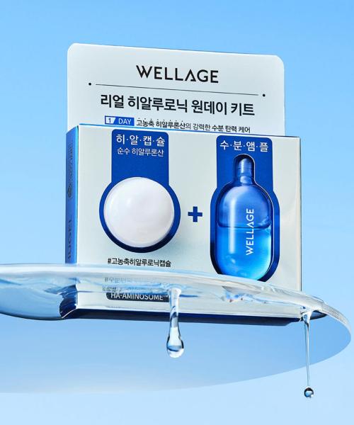 Wellage Real Hyaluronic One Day Kit 4pcs NONE