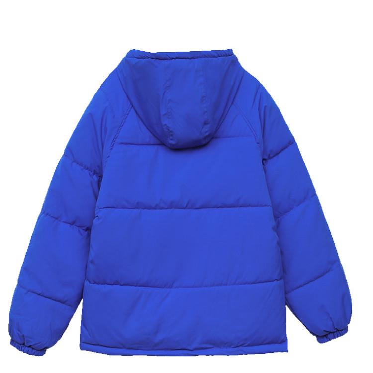 Jachetă de puf, haine de iarnă pentru femei, haină nouă, largi, îngroșată, cu glugă, paltoane din bumbac, parkas, jachetă puf scurtă, bubble