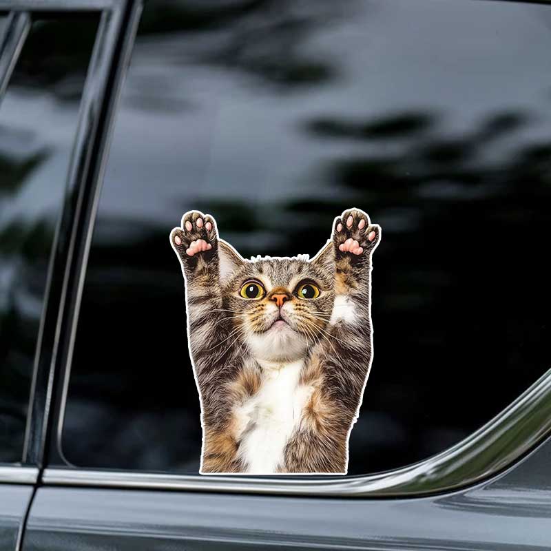 Funny Cat Car Sticker Vinyl Decal Waterproof Rear Window Motorcycle Camper Bumper Truck Laptop Decoration Y22