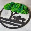 Moss tree, baobab with couple on bench