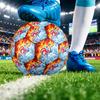 France Football Printed Size 5 Soccer Ball Wear Resistant Standard Adult Training Football Fan Gift for Indoor Outdoor Match Sports