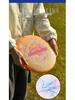 Aisenwer Ultimate 175g Professional Frisbee for Adult Team Competitions and Outdoor Activities