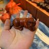 Small-Leaf Red Sandalwood Pendant: Wealth-Attracting Pixiu, Gourd, Dragon, Tortoise Design