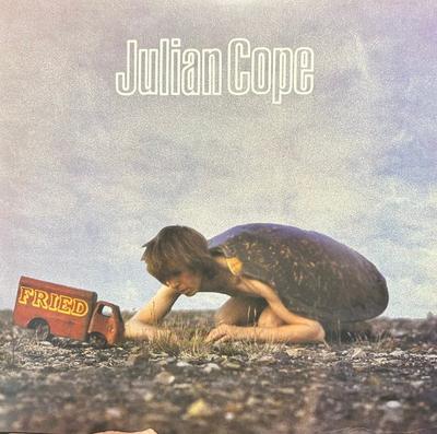 LP-Schallplatte JULIAN COPE - Fried UMCLP087 Mercury 2024 UK Rock