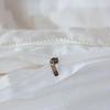 Plover Cotton Jacquard Mulberry Silk Summer Quilt