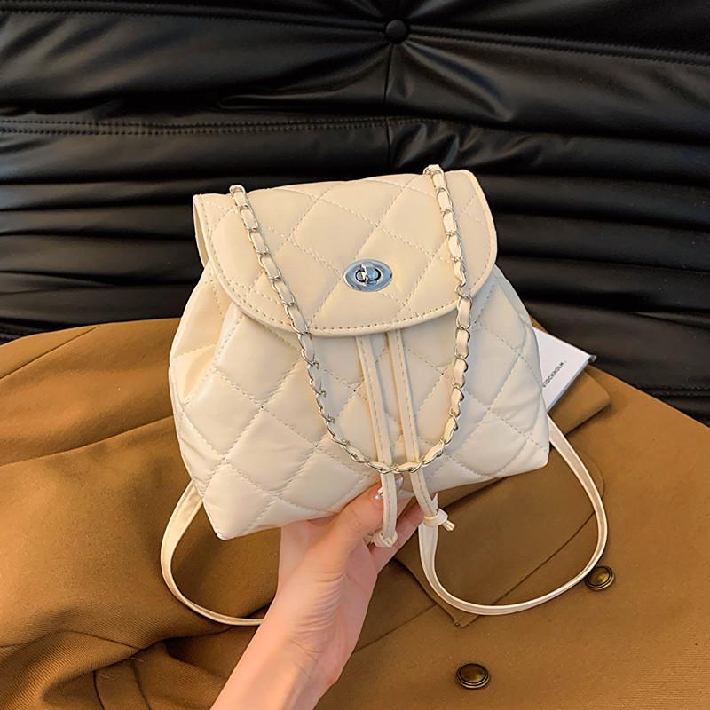 Stylish 2024 Spring Season Black Quilted Chain Strap Shoulder Bag For Casual Wear