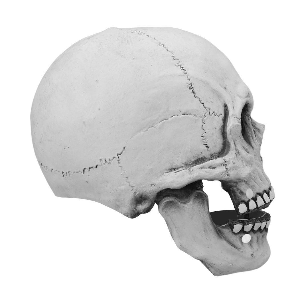 Skull Mask Halloween Skull Style Breathable Durable Latex Movable Jaw Skeleton Mask for Party Costume Ball