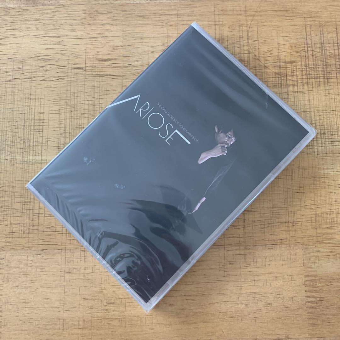 

[USED] Arios by Yohei Kawabata