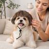 Pet Wig Costume Accessory for Dogs and Cats, Funny Photo Prop for Parties and Holidays
