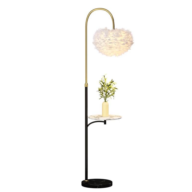 XuanYong Feather Floor Lamp with Side Table