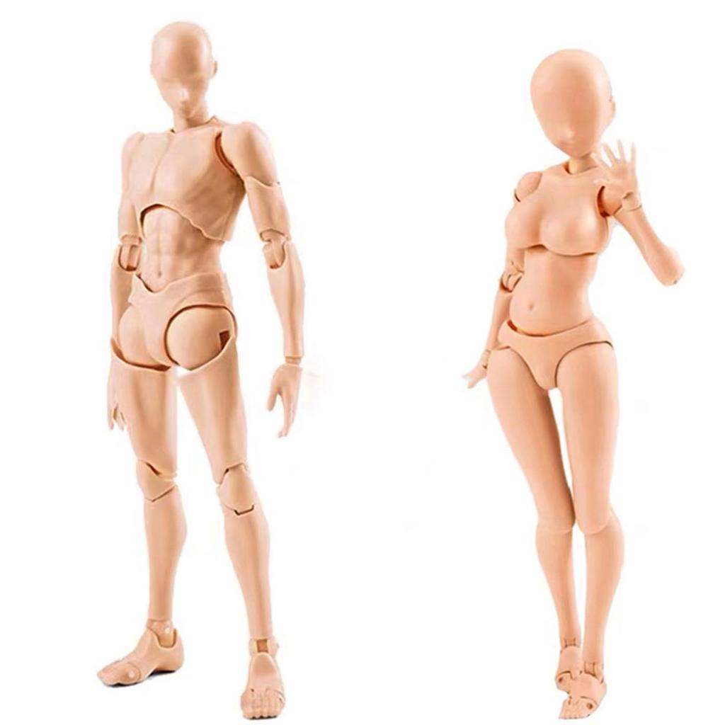 Scale Male and Female Figure Dolls with Movable Ideal for Drawing Drawing and Practice Includes Props and Stands Skin 1/12 Joints, Manga, Mannequins,