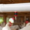 10pcs 360 Degree Design Automatic Water Nipple Chicken Water Feeder Nipple  Poultry Farm