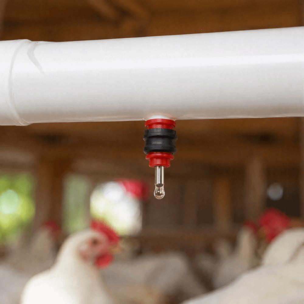 10pcs 360 Degree Design Automatic Water Nipple Chicken Water Feeder Nipple Poultry Farm