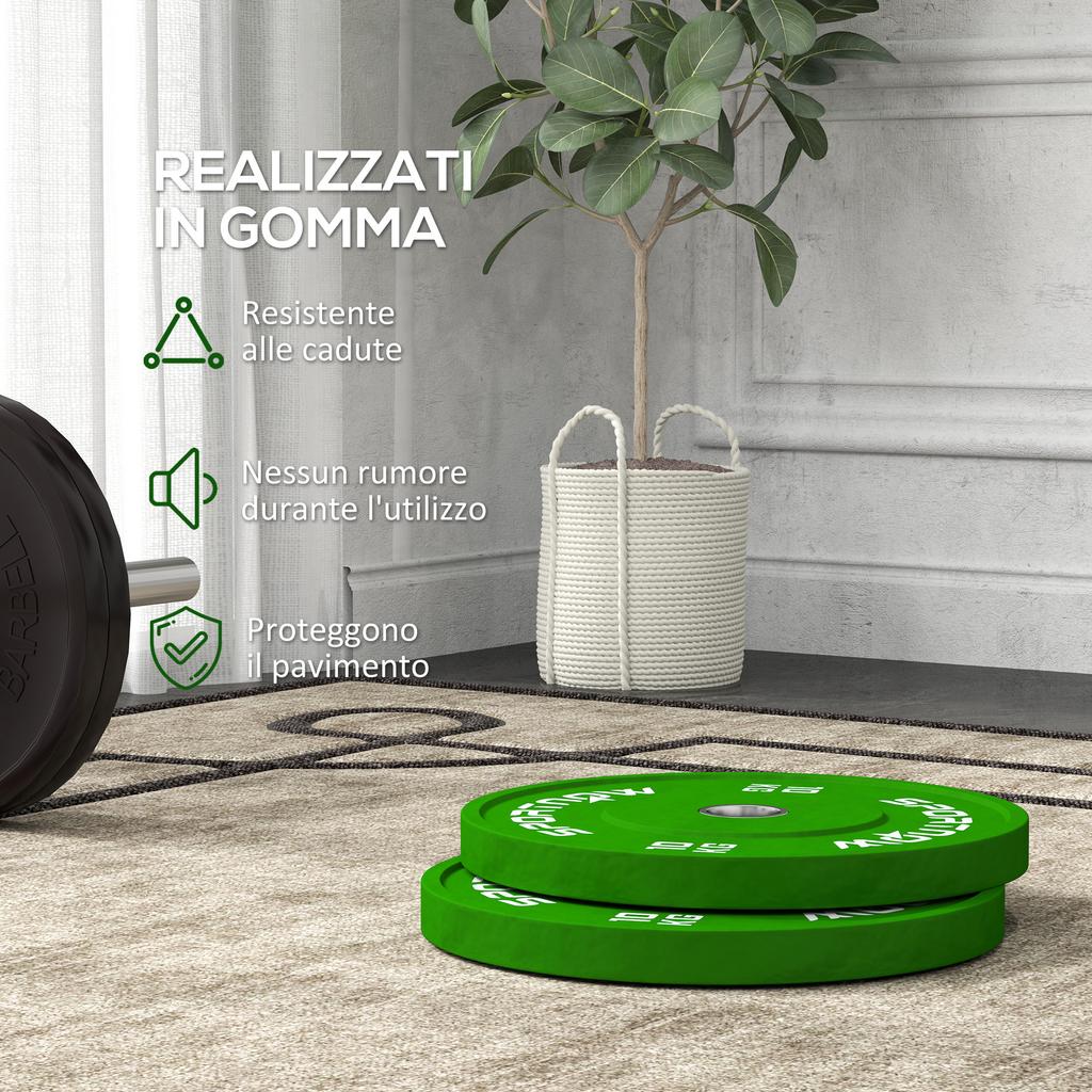Set 2 Weight Plates 10kg Rubber With 2  5 Cm Hole For Dumbbells And Barbells Green
