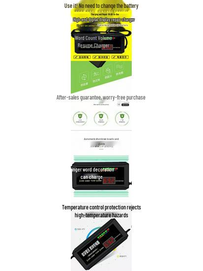 Universal Battery Charger & Repairer for Electric Vehicles 48V/60V/72V Pulse Maintenance Lead