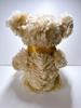 [USED] Teddy Bear Steiff Gallery Shop Teddy Bear 2000 Limited Edition of 2000