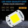 COB LED Lamp 20W 30W 50W AC 220V 230V 240V Smart IC No Need Driver DIY Chip LED Bulb Flood Lights Spotlight Floodlight Chip