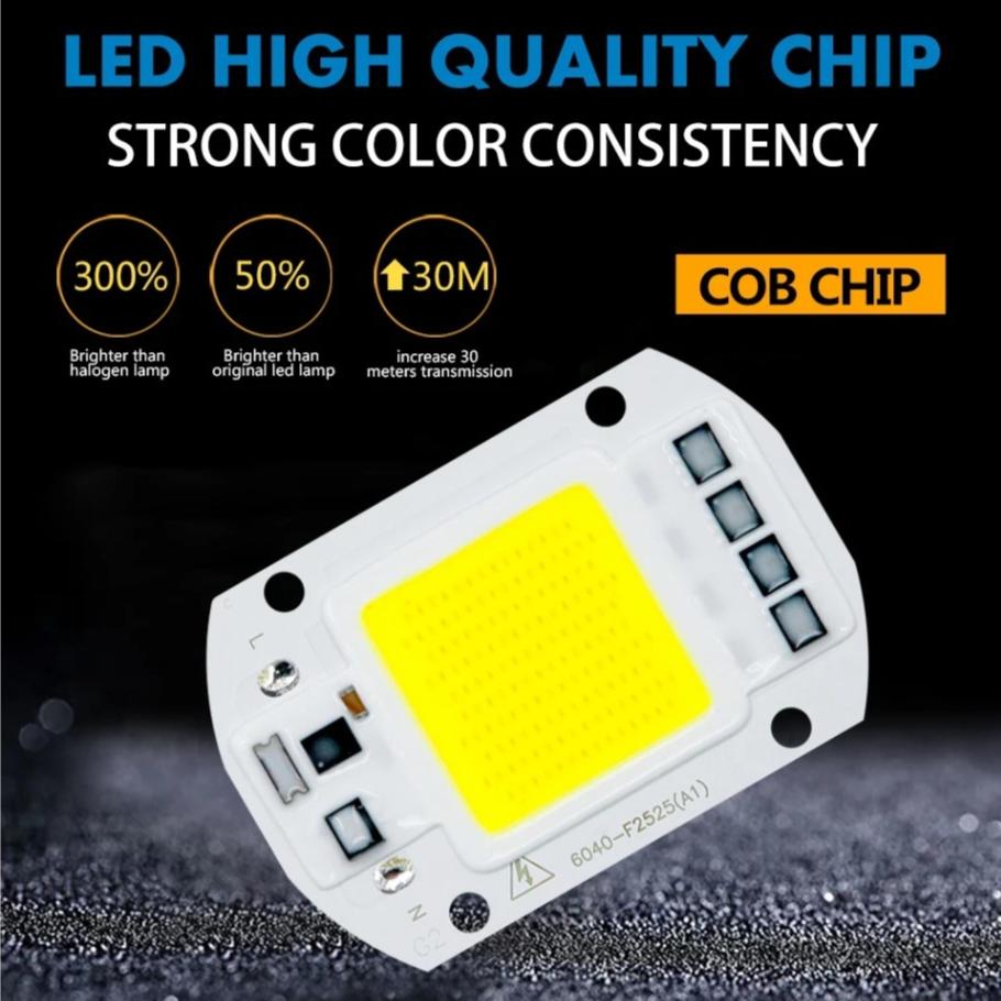 COB LED Lamp 20W 30W 50W AC 220V 230V 240V Smart IC No Need Driver DIY Chip LED Bulb Flood Lights Spotlight Floodlight Chip