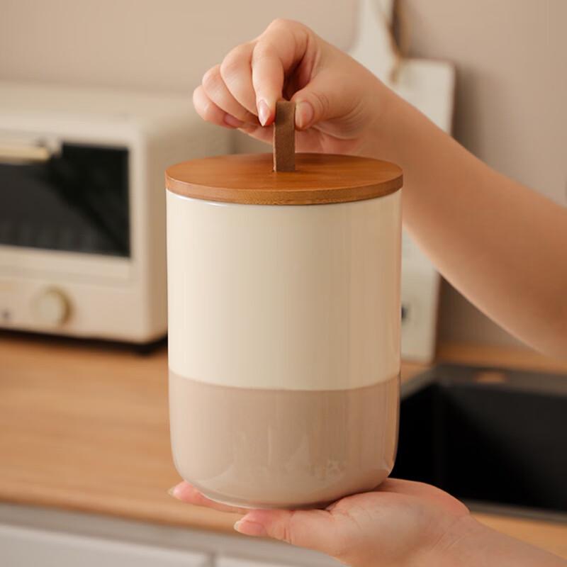 Ceramic Food Storage Jar Set with Handle Lids