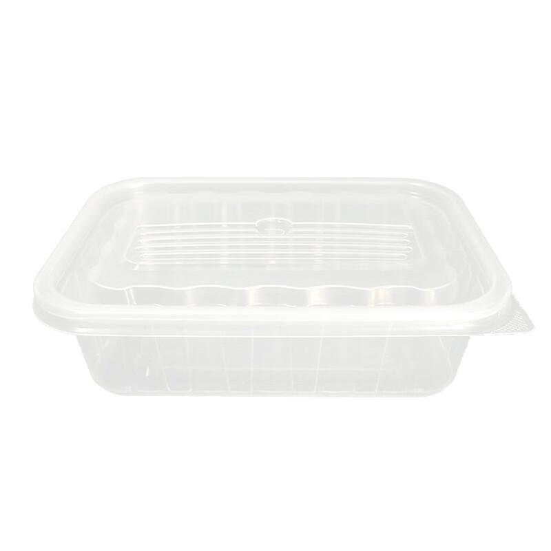 Disposable Rectangular Takeaway Meal Box with Transparent Lid