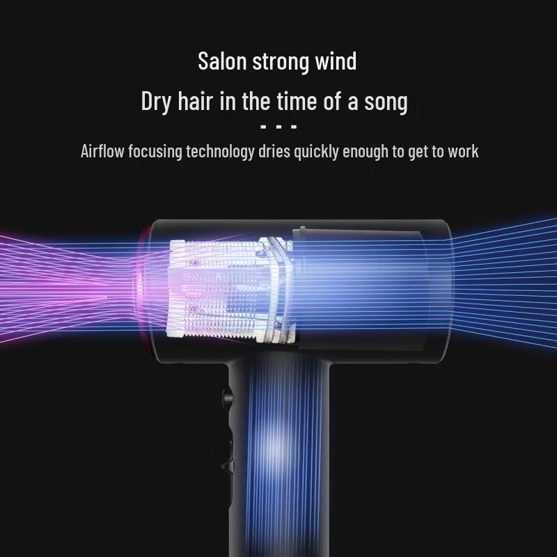 LISM Negative Ion Hair Dryer