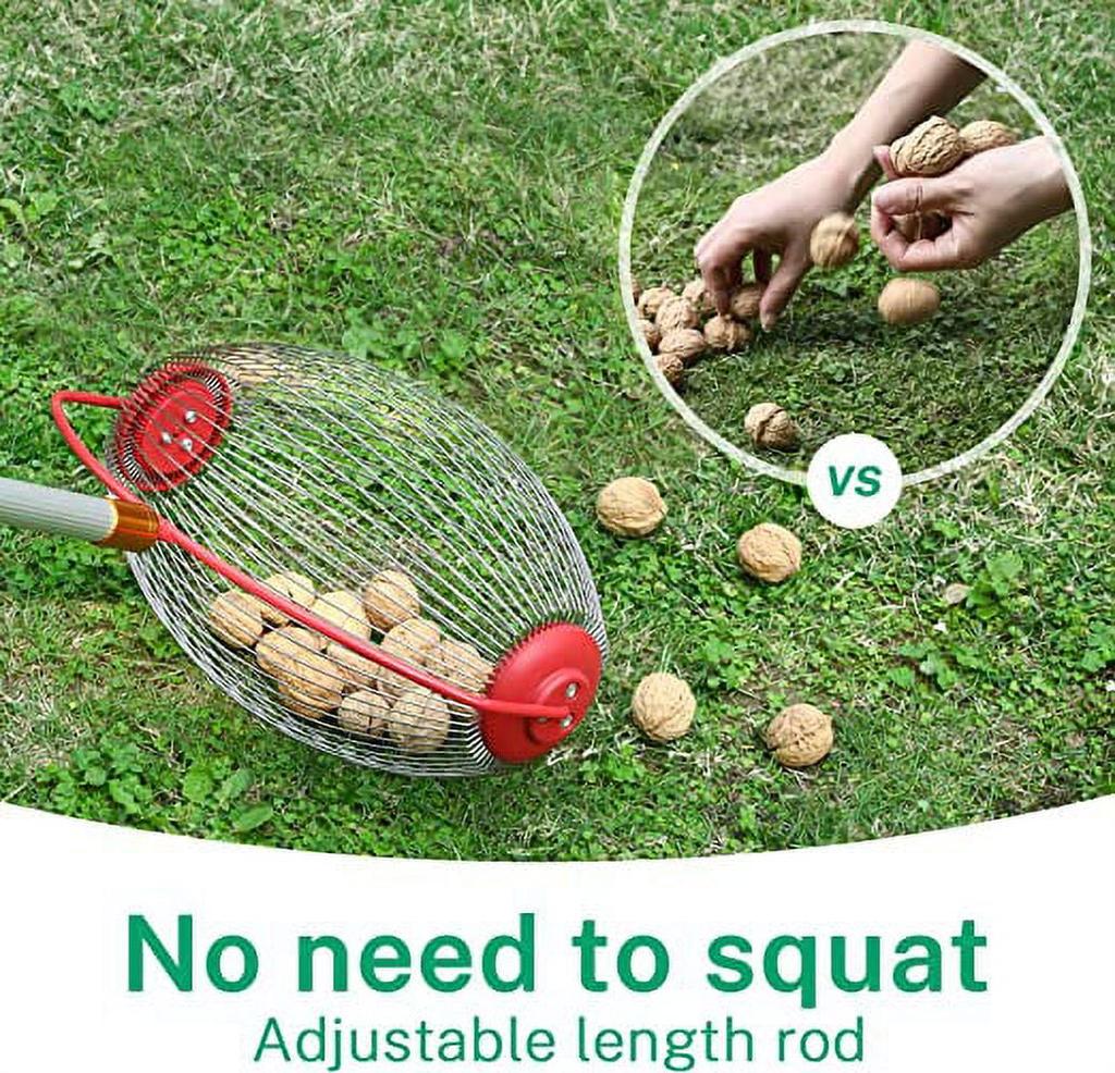 Zbieracz Orzechów, Zbieracz Orzechów Toczący się Podbieracz Żołędzi, Regulowane Lekkie Narzędzia Ręczne do Użytku Zewnętrznego, Zbieraj Orzechy Włoskie, Żołędzie, Orzechy Hickory