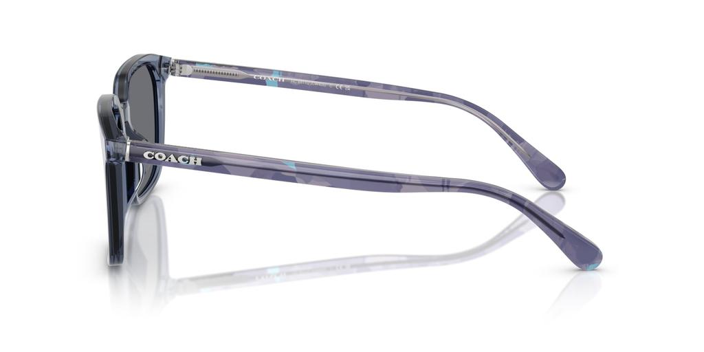 Sunglasses 0HC8411U TRANSPARENT BLUE 55 [Coach]