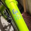 3 Stück 5,6 x 8 cm Fahrradrahmen-Aufkleber Ride Or Die Oberrohr-Aufkleber für MTB-Fahrräder Dekorative Rahmen-Fahrrad Auto Motorrad Zubehör