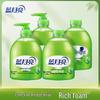 Blue Moon Aloe Antibacterial Foaming Hand Wash Set