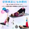 HAPPY SUGAR Yoga Pilates Ball, Balance Ball, Training Exercise, Stretching, Activity, Mini Set of 3