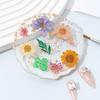 Handmade Resin Coaster Dried Flowers Cup Mat Heat-Resistant Clear Waterproof Table Protection Mat Unique Gift for Coffee Lovers Home Office Decor