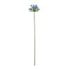 Hill Interiors Agapanthus Artificial Flower Spray