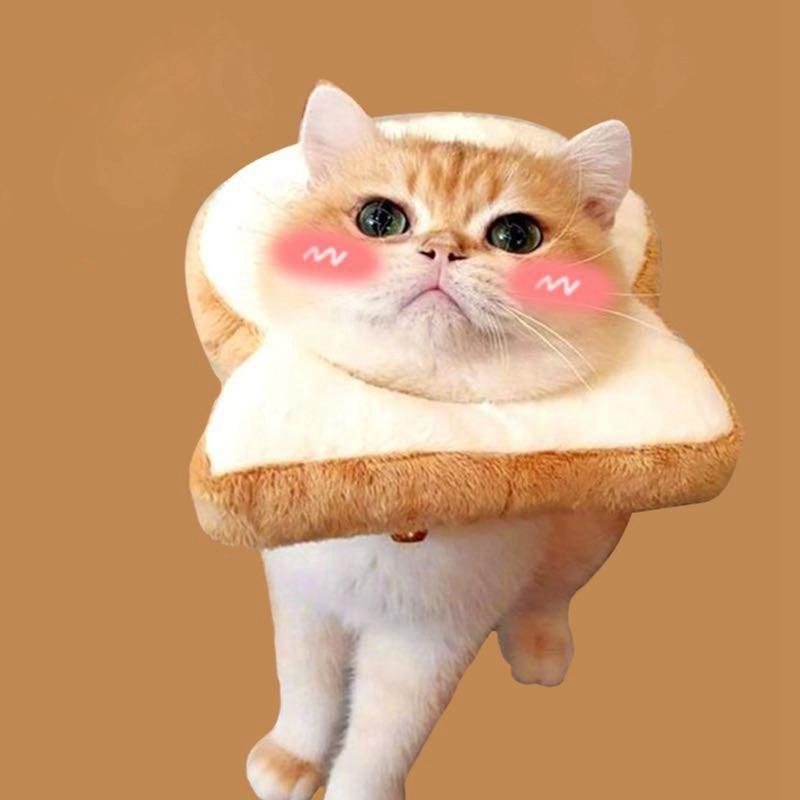 Cute Bread-Shaped Collar Toast Cat Headdress Headgear Soft Bread Slice Elizabeth Pet Recovery Cone for Cats Small Dogs Cartoon Costume for Pet Show Cosplay Protective Neck Cone Cute Bread-Shaped Collar Toast Cat Headdress Headgear Soft Bread Slice Elizabeth Pet Recovery Cone for Cats Small Dogs Cartoon Costume for Pet Show Cosplay Protective Neck Cone