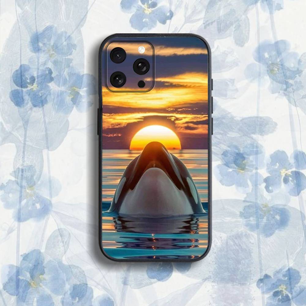 Killer W-Whale O-Orca Phone Case For iPhone 17,16,15,14,13,12,Pro,Max,Plus,E,SE4,Air,Mini Black Soft Box iPhone17pro