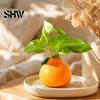 Einzigartiges Tischornament, Orangenförmige Vase, Dekorativer Hydrokultur Kreativer Blumenbehälter, Kleiner Hydrokultur Pothos Behälter Topf für Wohnzimmer