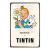 Retro Anime Metal Tin Sign Wall Art 20x30cm