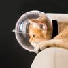 Beißschutz Atmungsaktiver Katzenmaulkorb Transparente Katzenkopfbedeckung Leichte Katzenraumhaube Haustierpflege
