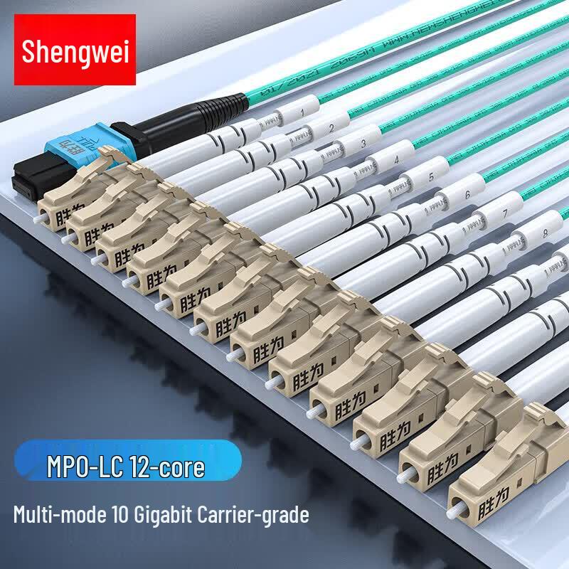 

Shengwei MPO-LC 12-Core OM4 Multimode Fiber Optic Patch Cord