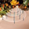 24TE 3pcs/set Acrylic Cake Display Rack Multipurpose Show Stand Bracket Supplies