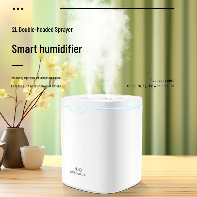 HOLNG 2L Dual-Spray USB Humidifier & Diffuser CN plug (adapter included)