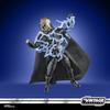 Hasbro Star Wars Vintage Collection Star Wars Episode VI: Return of the Jedi Darth Vader (Emperor's Wrath) Premium 3.75-inch Collectible Action Figure