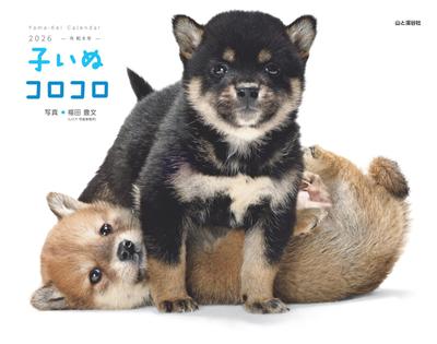 2026 Puppy Roller Calendar Calendar (Monthly/Wall Hanging/Dog/Puppy) (Yamakei 2026)