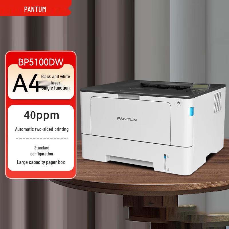 Pantum BP5100DW Wireless Duplex Mono Laser Printer CN plug (adapter included)