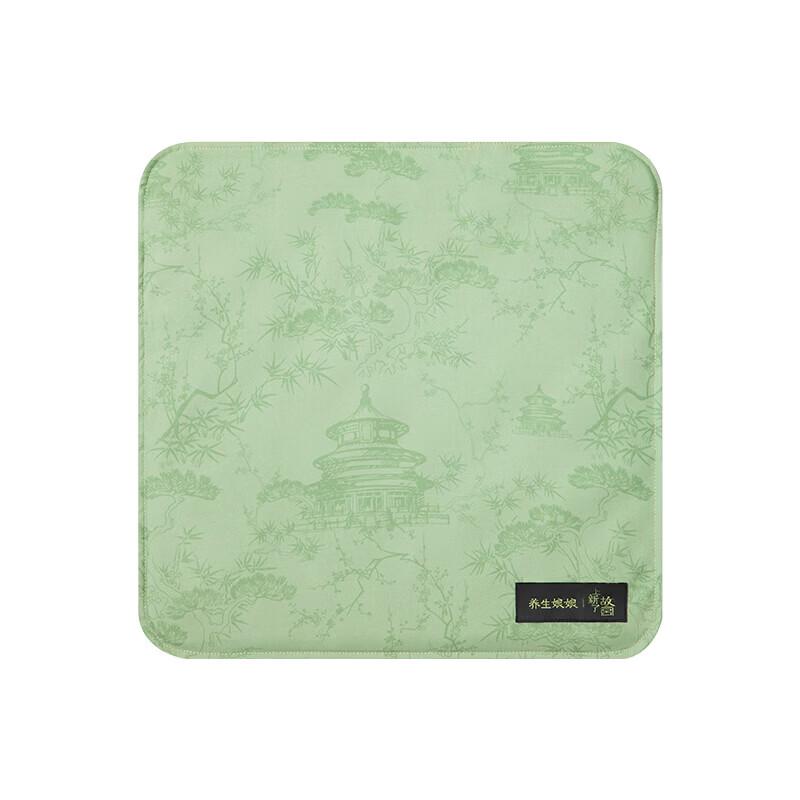 

Zdeer Wellness Heating Seat Cushion CN plug (adapter included)