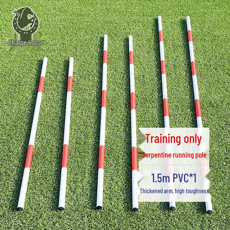 Driving Practice Reversing Pole Set