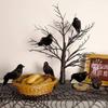 6pcs Halloween Black Crow Ornament with Bird Nest Realistic Handmade Crow Halloween Decoration Supplies