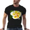 Spiral Arms Of The Frangipani Tshirt Lightweight Sport Basic Tshirt