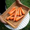 Imitation Rattan Plastic Storage Basket